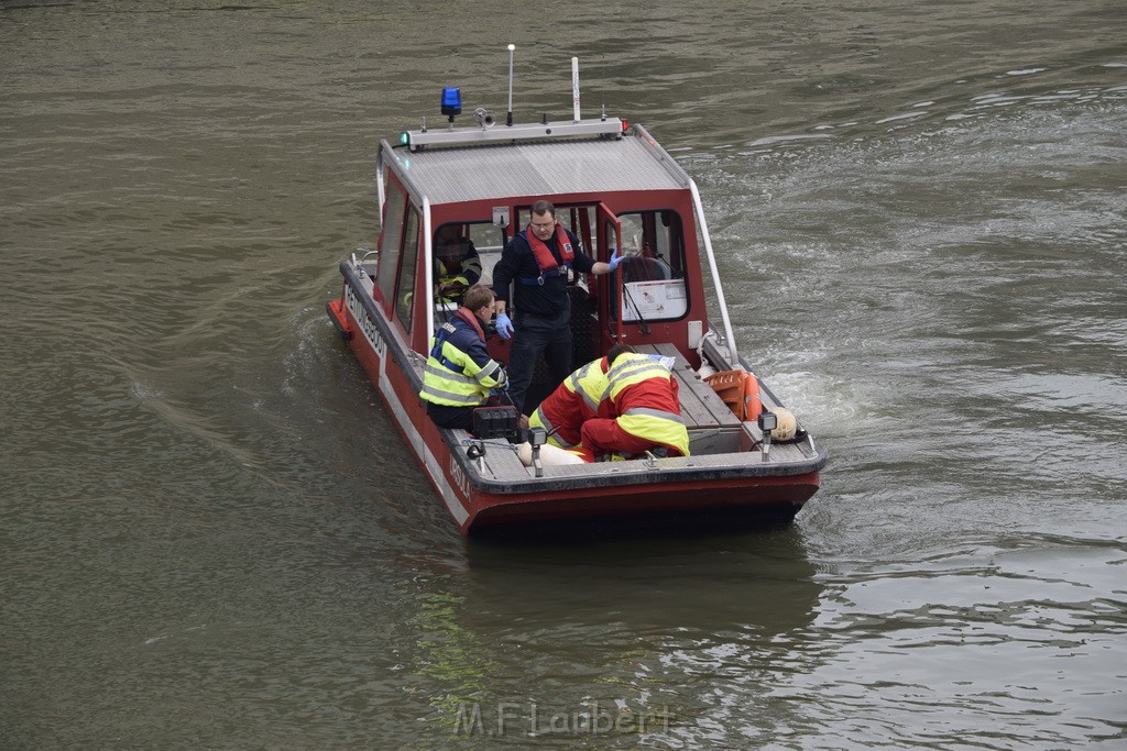 PRhein Koeln Innenstadt Rheinauhafen P097.JPG - Miklos Laubert